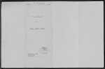 WILSON James Henry - Auckland - Retired Garage Proprietor