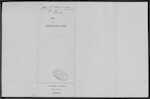 BUTLER Michael Pierce - Papatoetoe - Garage Manager