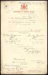From: M J [Michael Joseph] Egan, Secretary Wairio Jockey Club, Wairio Date: 5 December 1908 Subject: For totalisator license for 13th January 1909