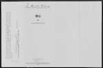 STAVELEY William Plunkett - Auckland - Chartered Accountant