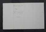 PHAIR Robert (younger) - Dunedin - Plumber / New Zealand Expeditionary Force