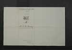BARLEY Frederick Herbert, also known as BARLEY Frederic Herbert - Dunedin - Commercial Traveller