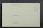 ALLAN Henry Mathie - Dunedin - Retired