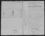 WILSON Sarah Ann - Waingaro and Hamilton - Widow