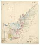 NS70/48 - Manawatu/Horowhenua District - Lakes, sections, reserves, swamp - scale 80 chains:1 inch - Lewis and Foster