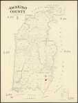 Awakino County - scale 1 mile:1 inch - Jas. [James] Mackenzie, Chief Surveyor