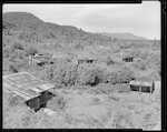 Caption: Deserted houses in Bell Hill, an old sawmill township. 
Classification: 96 Camps/Houses. Historical. 
Photographer: J.H. Johns
Date: 1954